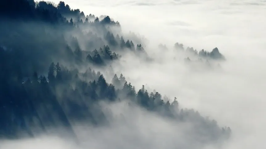 Nebel