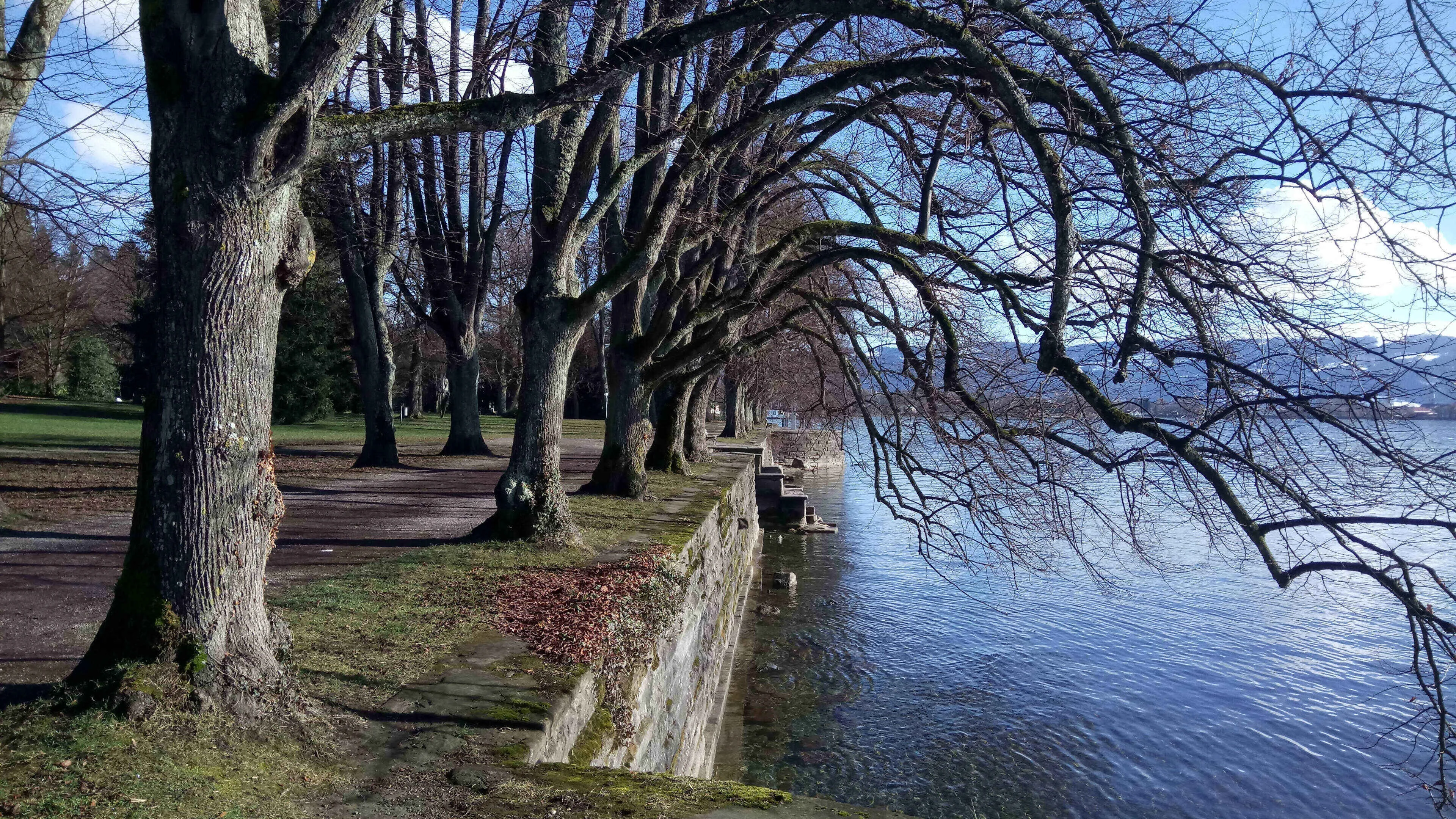 Lindenhofpark