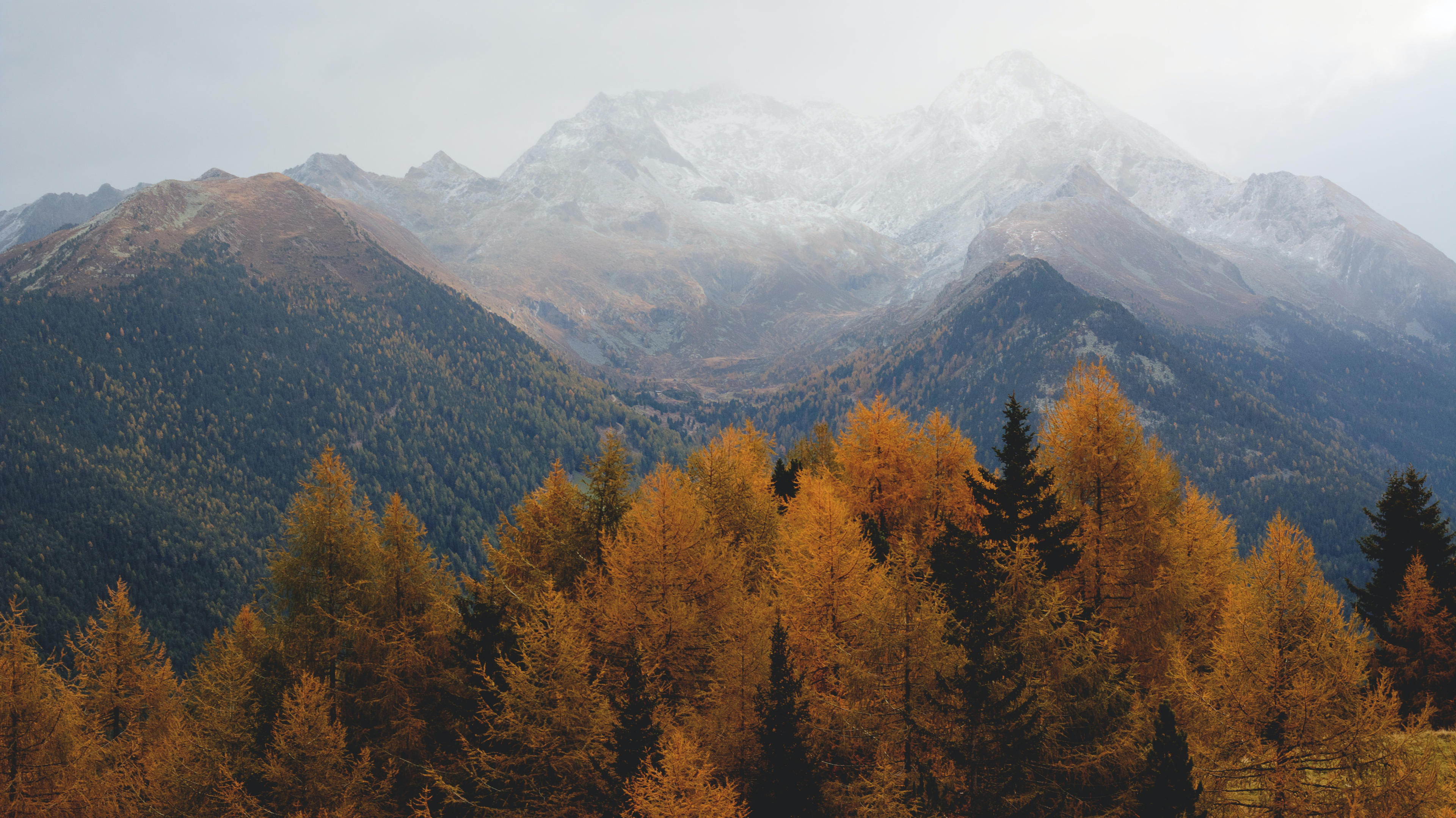 Herbst